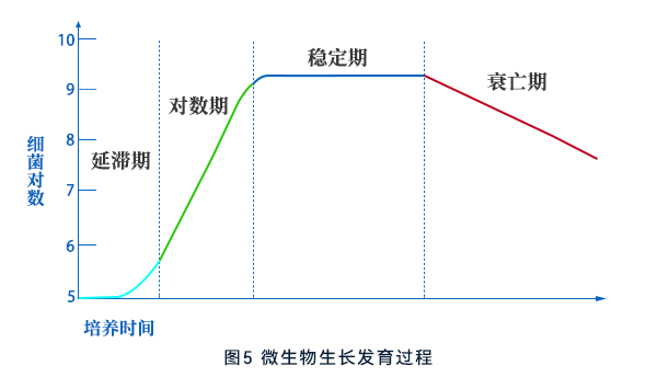 微生物生長(zhǎng)發(fā)育過(guò)程