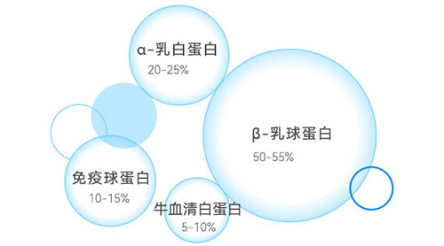 乳清蛋白成分示意圖